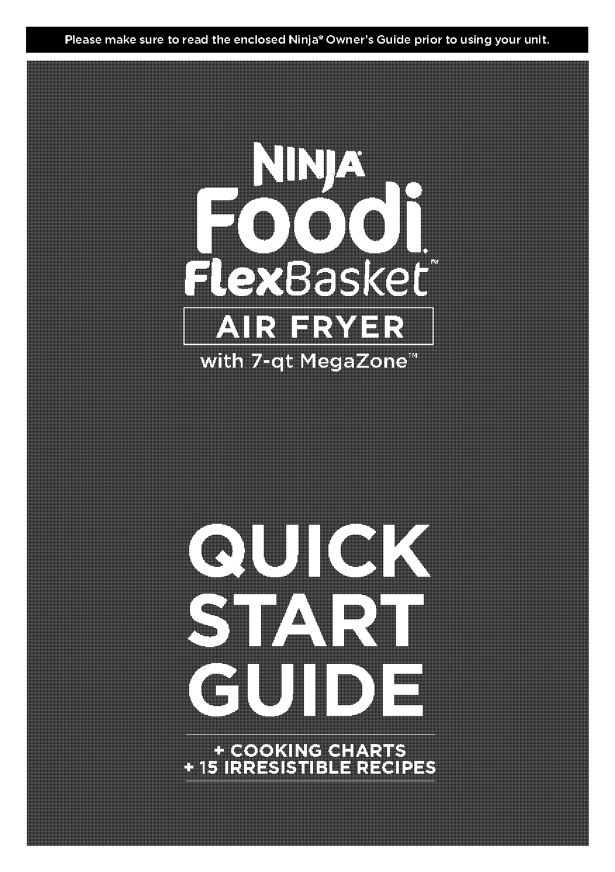 ninja air fryer instructions for french fries