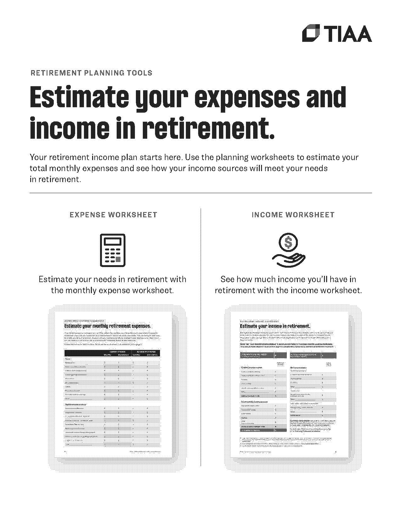 basic income expense spreadsheet