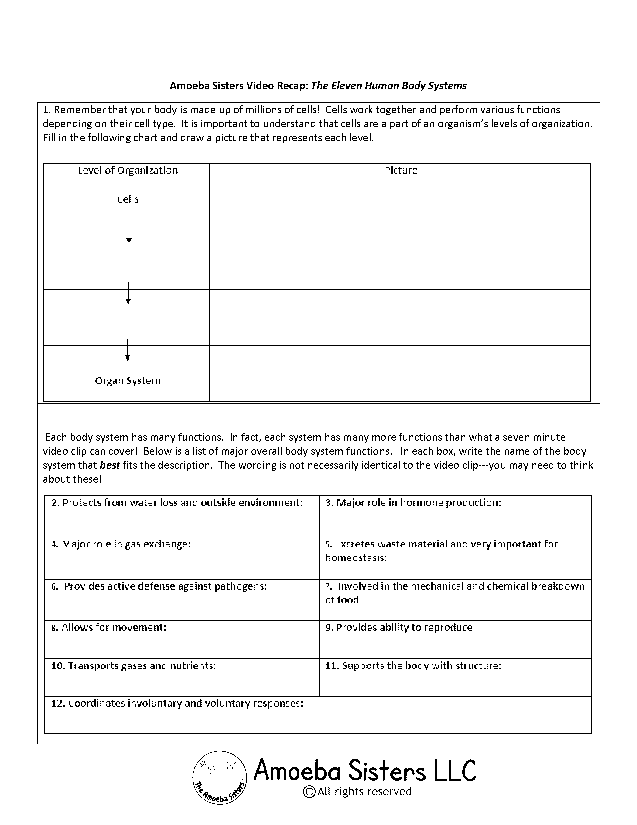 amoeba sisters body systems worksheet answer key pdf