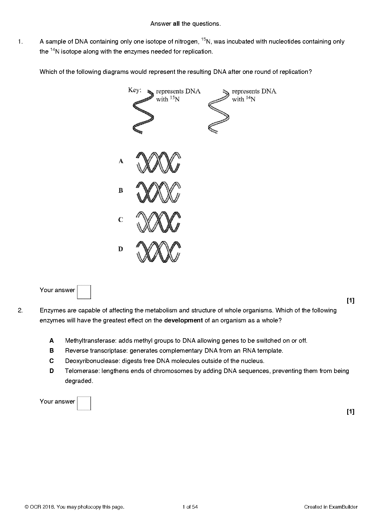 what are the similarities between dna replication and transcription