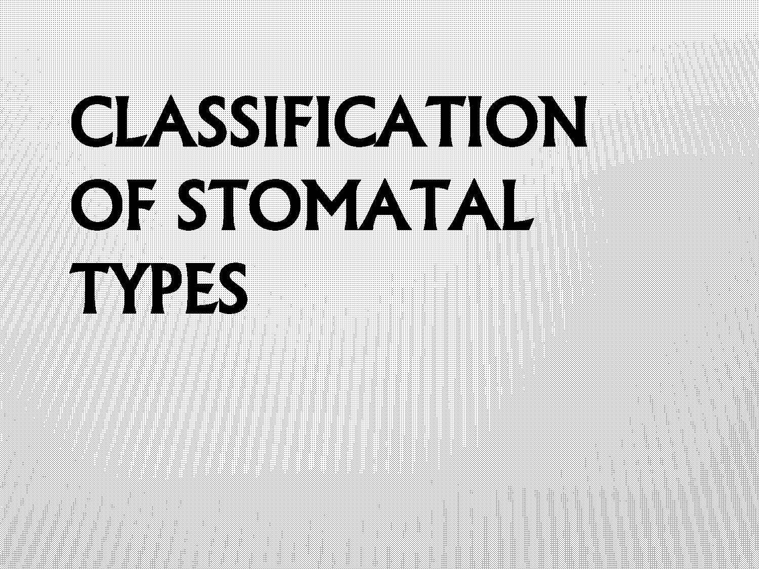 write functions of guard cells of stomata in the leaf