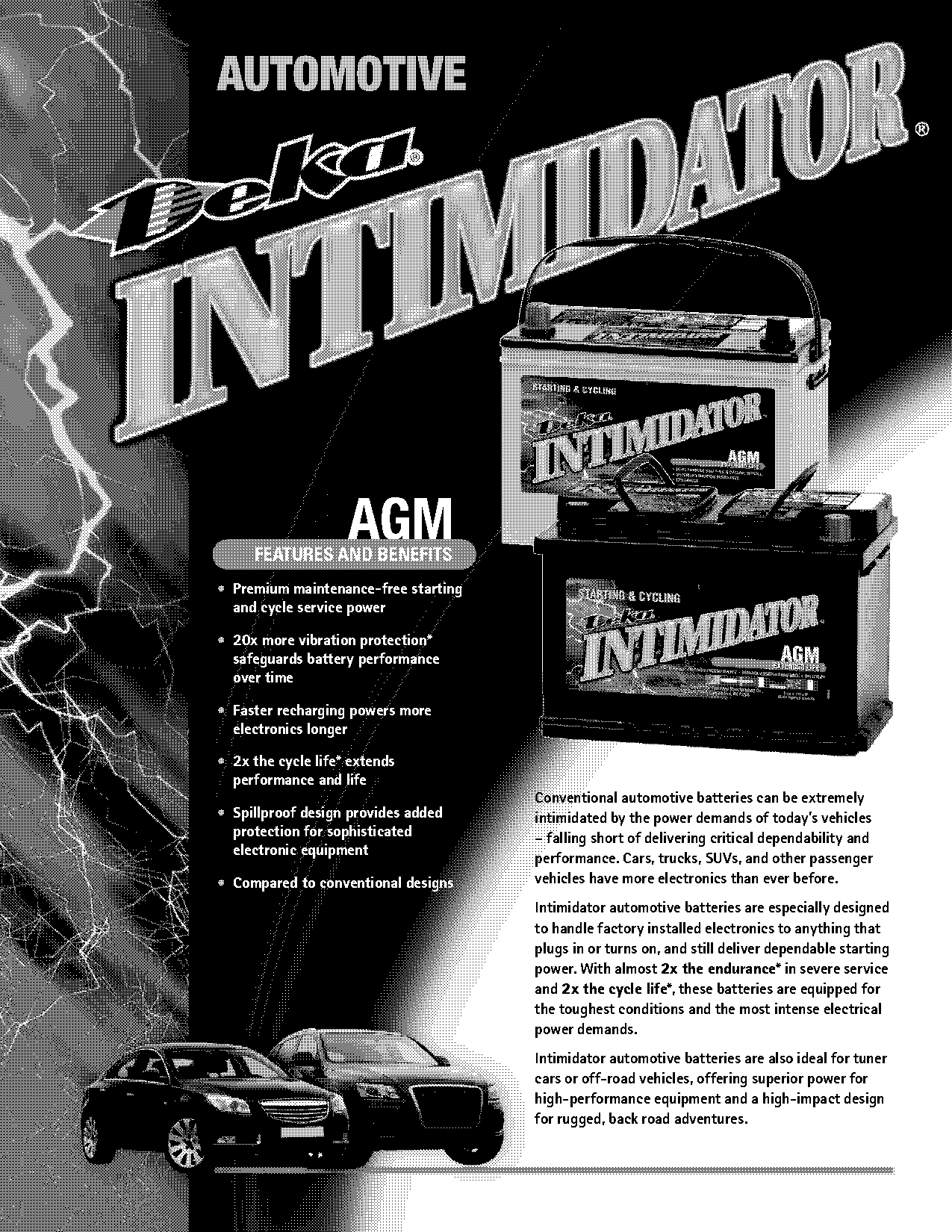 dual terminal car batteries